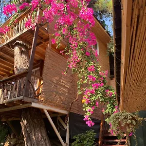 Large With Sea View In Kabak Bay, Oeluedeniz Türkiye